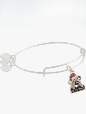 Alex and Ani Color Infusion Bah Humpug Bangle Bracelet Multi One Size